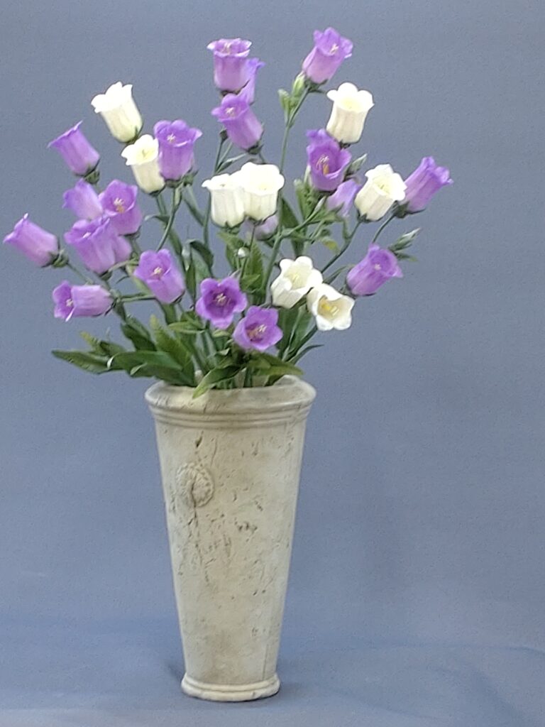 文子    　 “師範科”　　